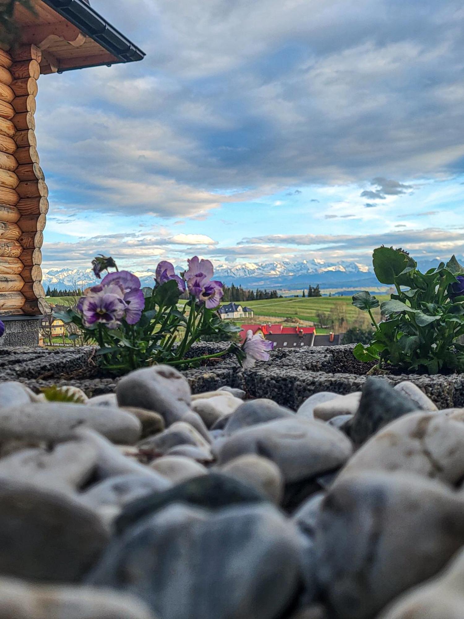 Domki Na Grapie - Z Widokiem Na Tatry Villa Pyzowka Luaran gambar